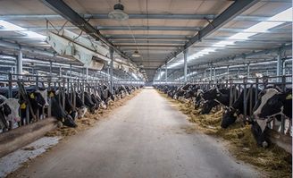 辦公室不長(zhǎng)胖零食選它，餐飲管理新思路